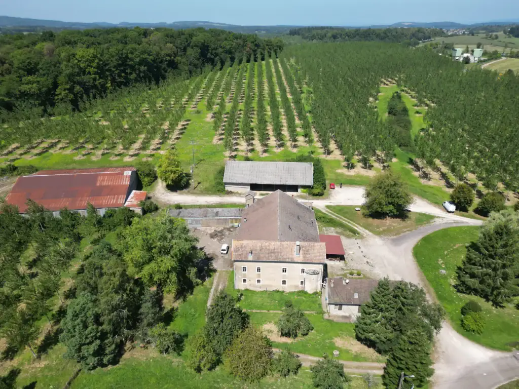 Vue aérienne rapprochée des toitures et des vergers